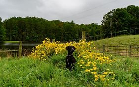 Wolf Creek Farm Ararat Va